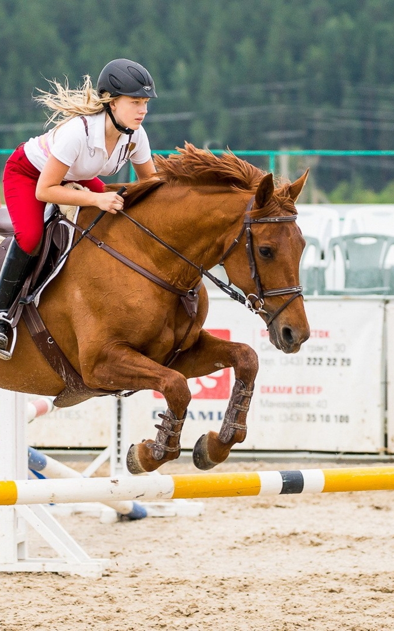Image: Horse, jump, movement, girl, rider, helmet, outfit