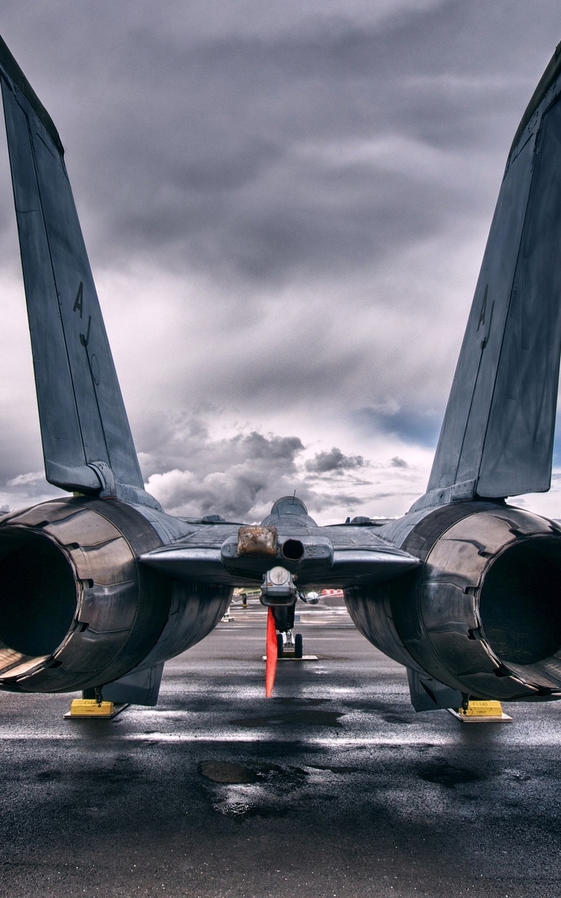 Картинка: Grumman, f 14, tomcat, реактивный, истребитель, турбины, двигатель, небо, тучи