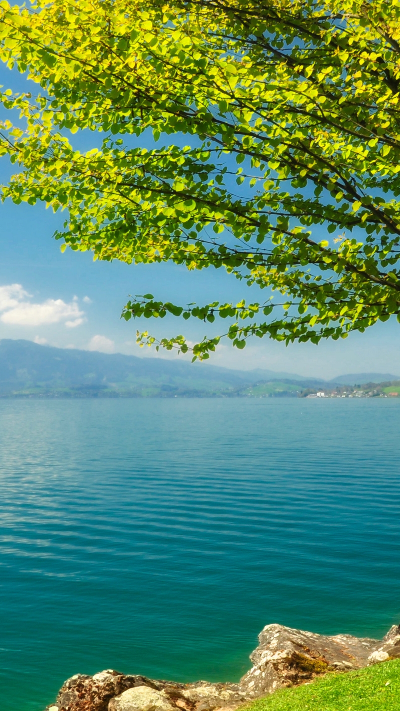 Картинка: Дерево, листва, голубое озеро, вода, горы, камни, небо, облака