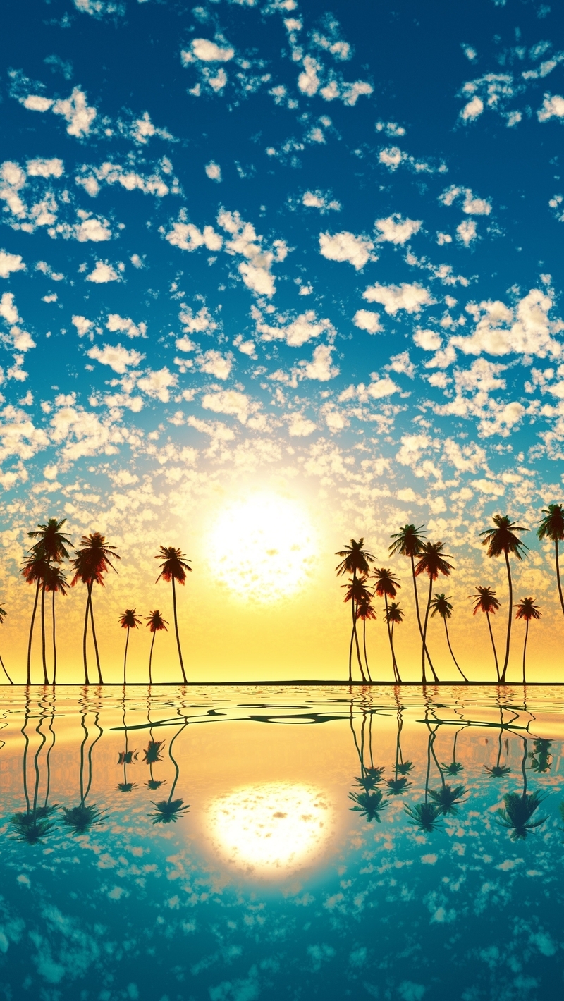 Image: Landscape, sunset, sun, sky, clouds, island, ocean, palm trees, water, reflection, horizon