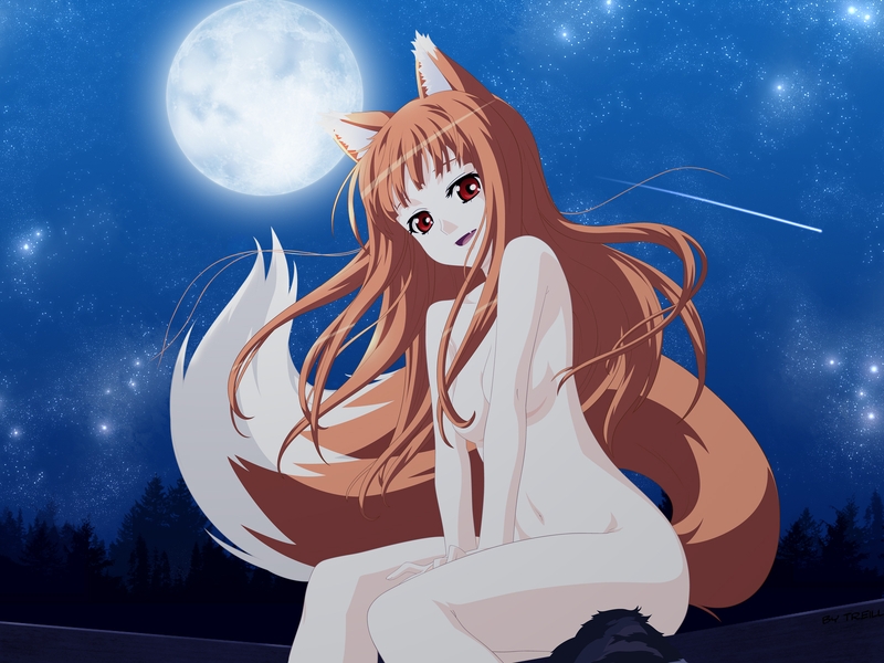 Image: The she-wolf, tail, ears, girl, hair, moon, sky, stars