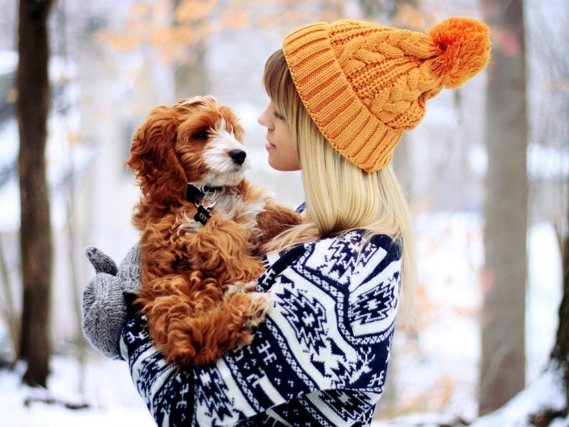 Картинка: Девушка, кофта, шапка, варежки, собака, друг, зима, снег, деревья, держит