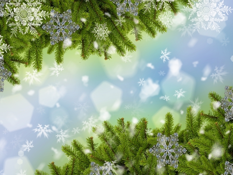 Image: Fir-tree, needles, snowflakes, New year