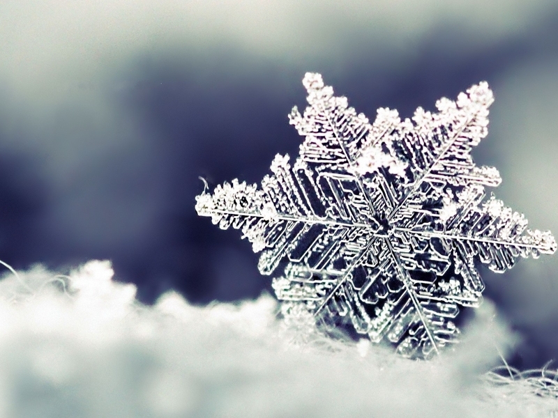 Картинка: Снежинка, зима, форма, лёд, снег