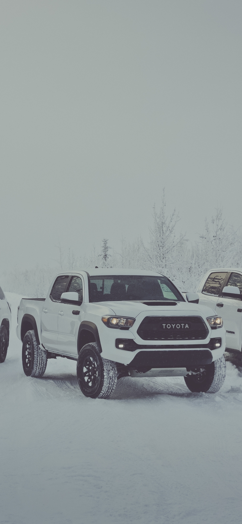 Картинка: 2017, Toyota, 4Runner, Tacoma, Tundra, TRD Pro, пикап, внедорожник, белый, снег, стоят, версии
