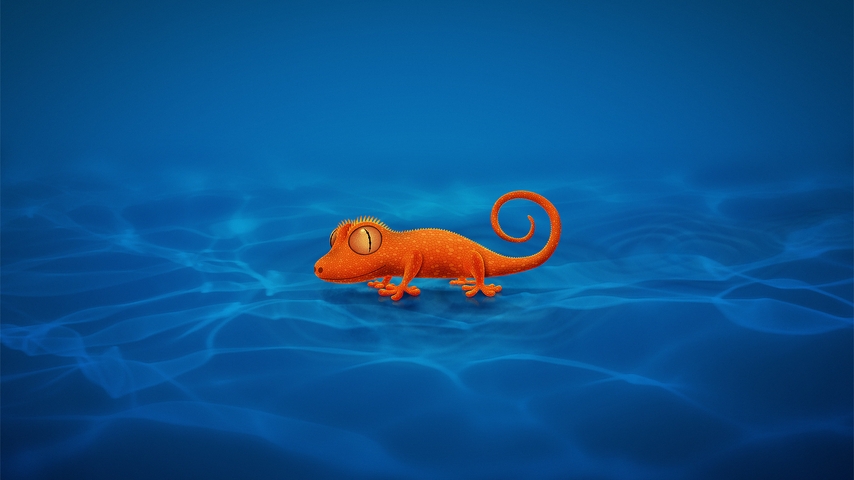 Image: Lizard, orange, blue waves