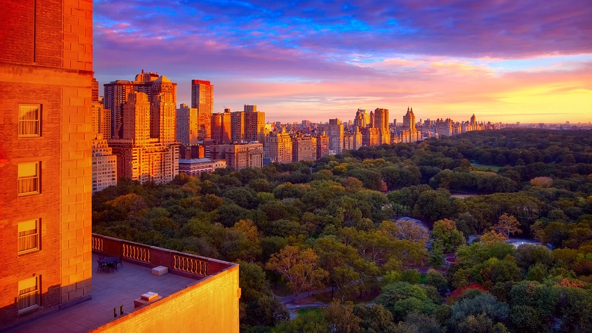 Картинка: Центральный парк, Нью-Йорк, деревья, высотки, здания, утро, рассвет, небо, New York City