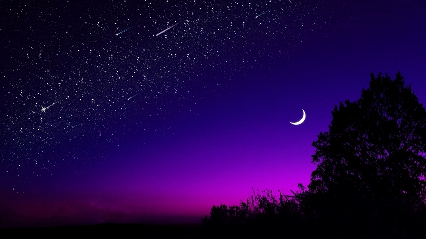 Image: Night, stars, moon, month, light, sunset, silhouette, tree, horizon, sky