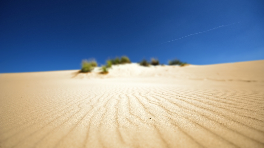 Картинка: Пустыня, небо, песок, рябь, волны, кусты, растительность, фокус