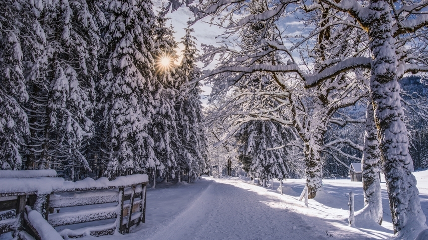 Картинка: зима, дорога, снег, лес, деревья, пейзаж