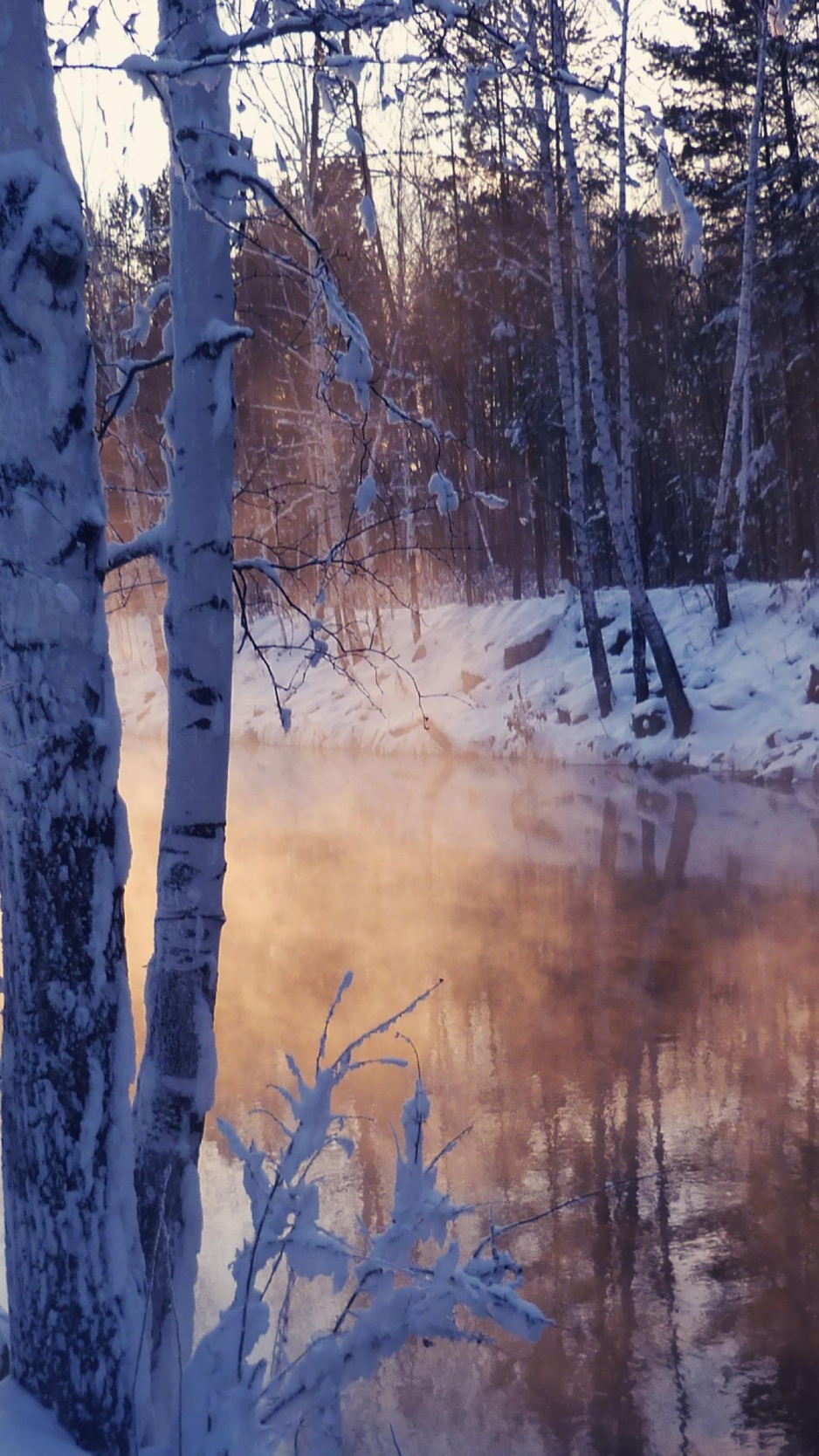 Картинка: Зима, холод, деревья, снег, озеро, отражение