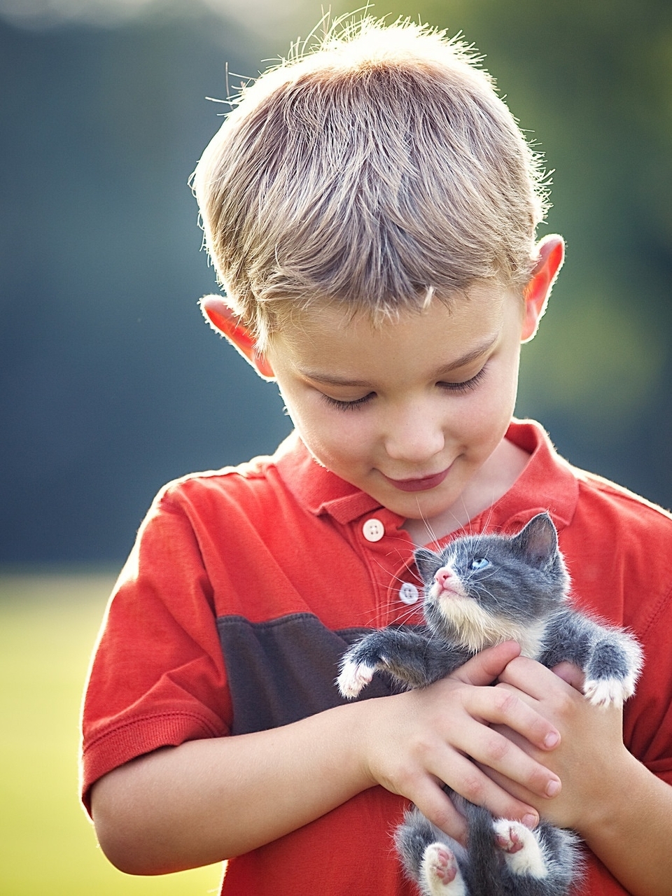 Картинка: Мальчик, котёнок, держит, маленький, блики, боке