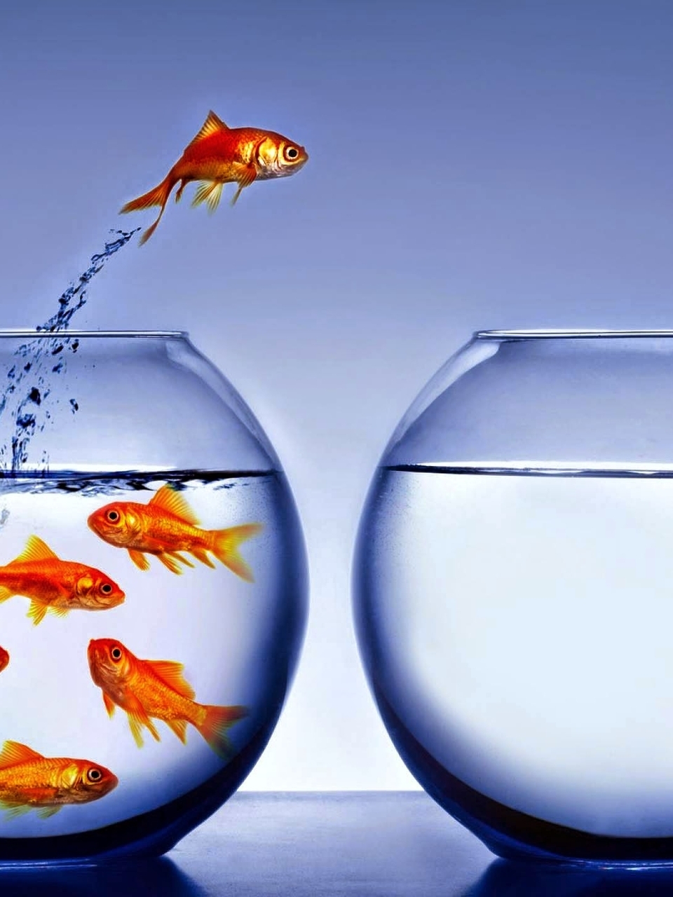 Картинка: Рыбки, аквариум, вода, капли, прыжок