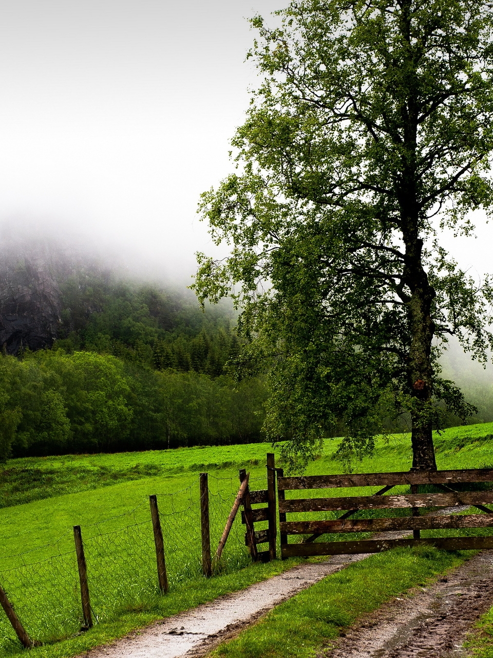 Картинка: Пейзаж, дорога, забор, ворота, поле, деревья, горы, туман, зелень
