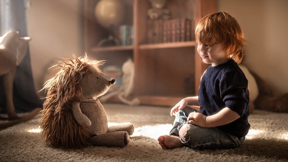Image: Child, boy, toy, hedgehog, needles, room, game, sitting